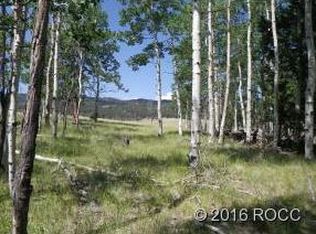 1032 Bolster Dr, Hartsel, CO 80449
