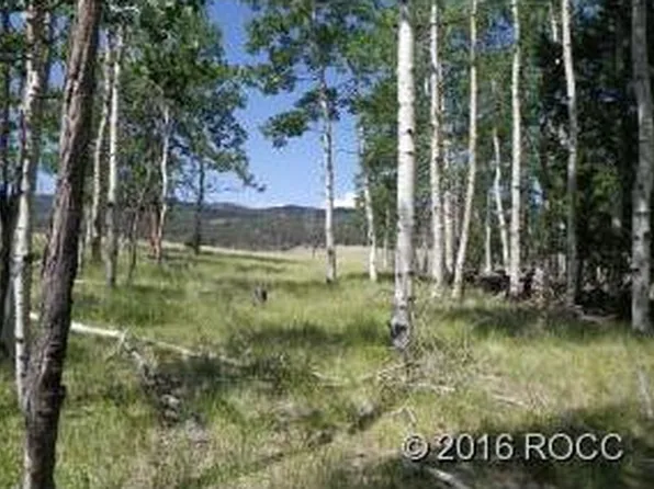 1032 Bolster Dr, Hartsel, CO 80449
