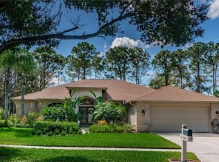 4943 Willow Ridge Ter, Valrico, FL 33596