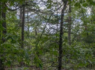 0 Eagle Ridge Rd LOT 29, Protem, MO 65733