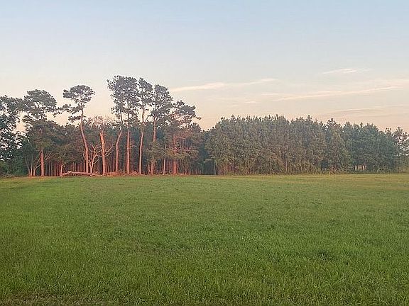 5th image of 210 Deerpark Trl