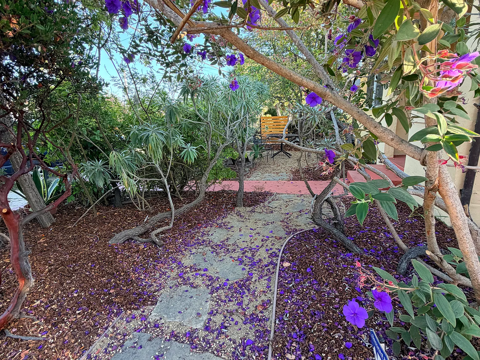 Centennial St, Santa Cruz — Photo 4