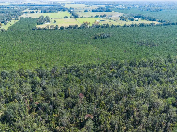 5 221st Rd, Live Oak, FL 32060