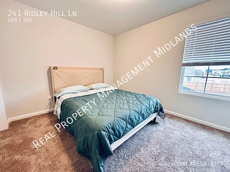 241 Ridley Hill Ln — Photo 17