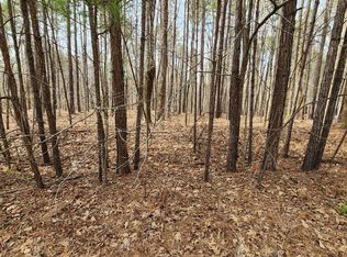 3679 Rodinson Ln, Wake Forest, NC 27587