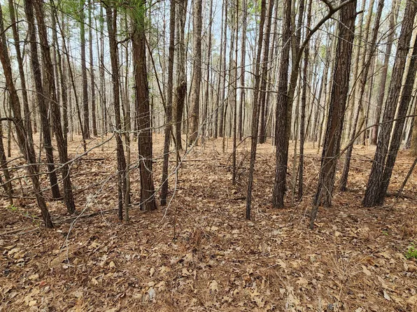 3679 Rodinson Lane, Wake Forest, NC 27587