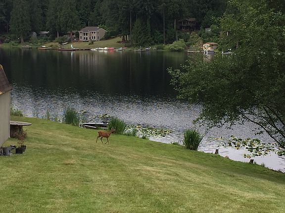 Lower yard 120 feet of bank