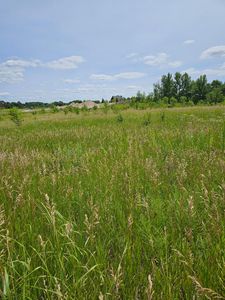 LOT 4 Country Estates Ct NW, Alexandria, MN, 56308