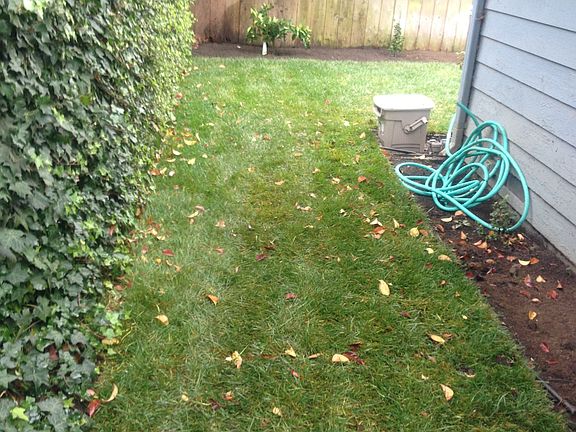 4th image of 128 Dunsmuir Way