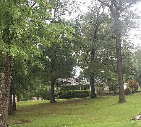 Front yard from Edison Ave