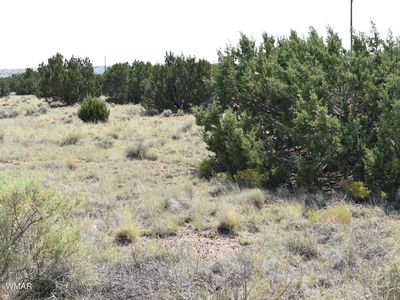 96 Alpine Ln, Concho, AZ, 85924