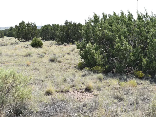 96 Alpine Ln, Concho, AZ 85924