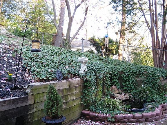 Rear Stone Patio/Pond