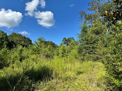 14-15 20th Ave, Florala, AL, 36442