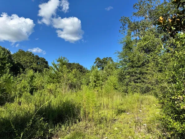 14-15 20th Ave, Florala, AL 36442