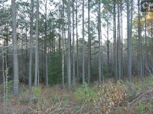 115 Paynehurst Dr, Lexington, SC 29072