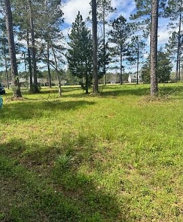 4th image of 1360 Dogwood Dr