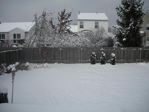 5th image of 2382 Shelby Ln