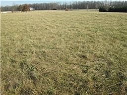 2nd image of 2415 Jack Teasley Rd