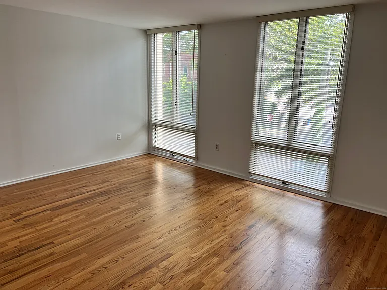 285 Greene St #285 — Photo 16