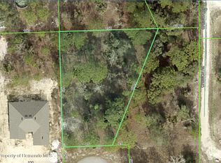 11347 Marabou Ct, Brooksville, FL 34614