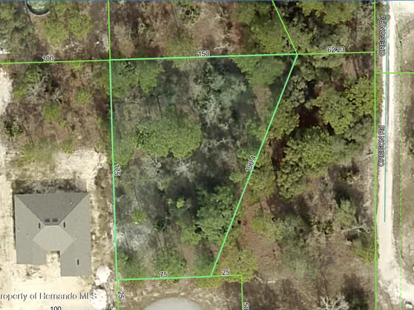 11347 Marabou Ct, Brooksville, FL 34614