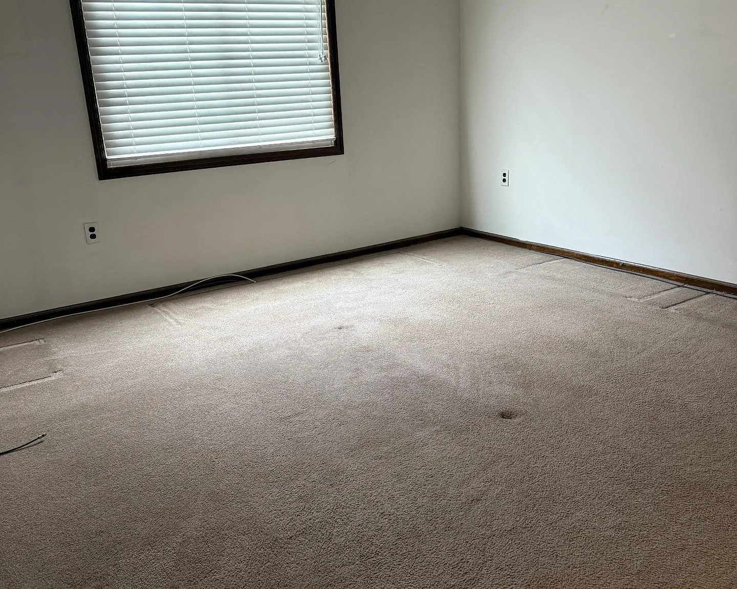 2 bed, 1.0 bath, $2,200 — Photo 2
