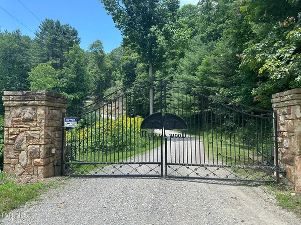 Heaton Branch Rd, Butler, TN 37640