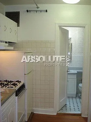 Rented by Absolute Properties of NYC | media 2
