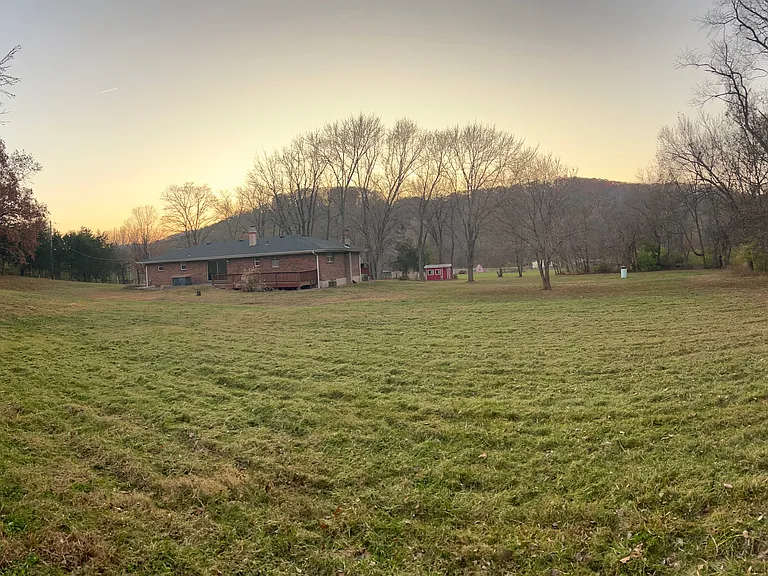 View from back yard towards home.