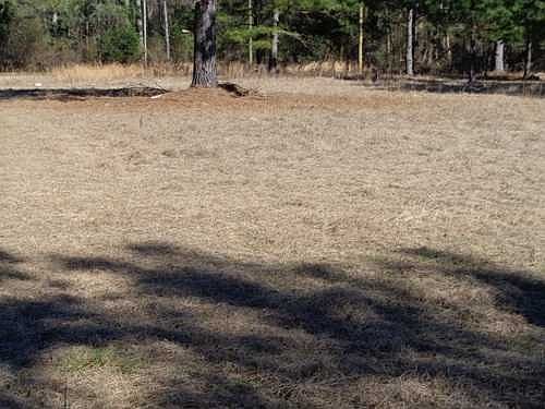 2nd image of 7225 Fairview Rd