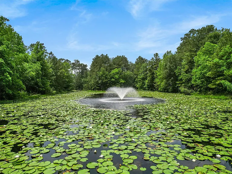 134 Moon Dance Ct — Photo 40