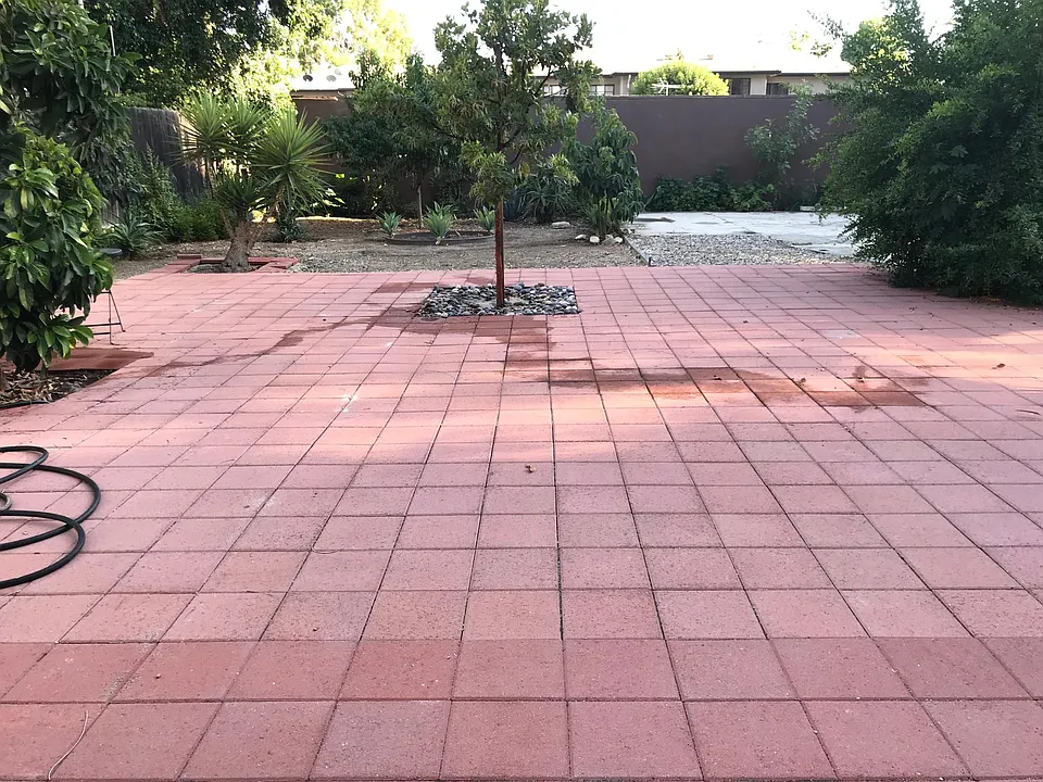 Back patio