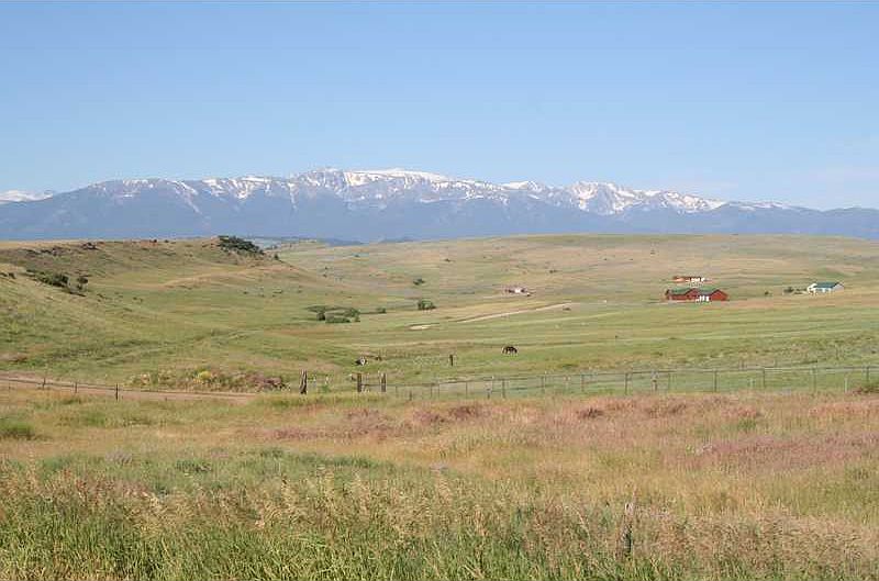 2nd image of Lot 47 Women Chief Circle