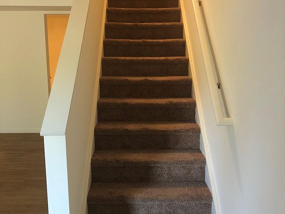 Carpeted Stairs