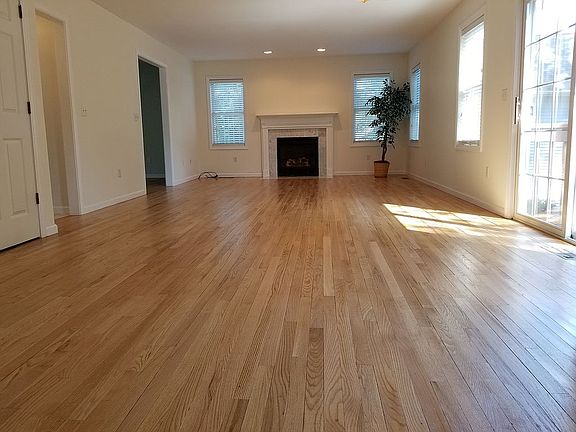 Standard cell phone camera