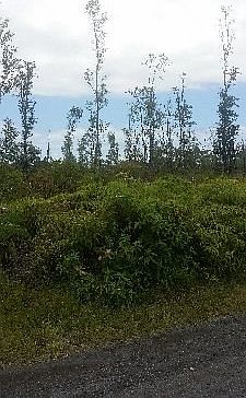 1st image of 17th St Lot 595
