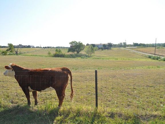 4th image of 4928 County Road 660