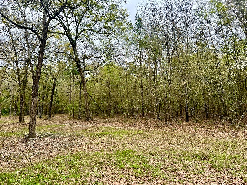 2nd image of 0 Macon Ln