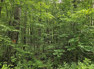 LOT 627 Pawnee Trl, Evart, MI 49631