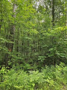 LOT 627 Pawnee Trl, Evart, MI, 49631