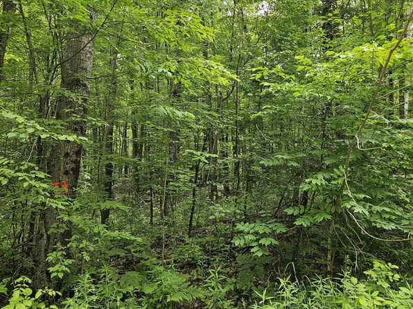 LOT 627 Pawnee Trl, Evart, MI 49631