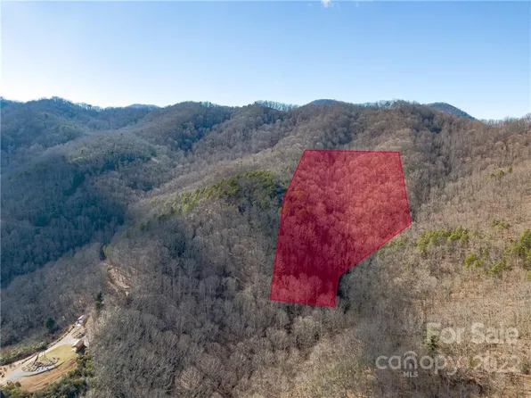9999 S Turkey Creek Rd #16, Leicester, NC 28748