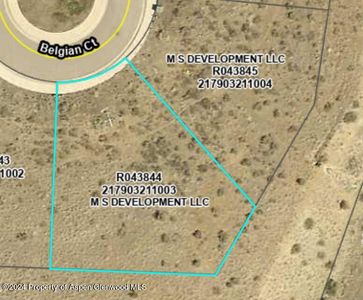 41 Belgian Ct, Silt, CO, 81652