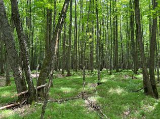 LOT 45 Big Cub Trl, Laona, WI 54541