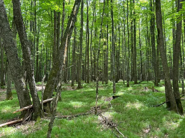 LOT 45 Big Cub Trl, Laona, WI 54541