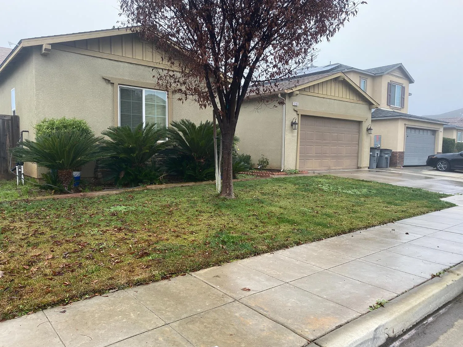 3765 N Pearwood Ave photo 1