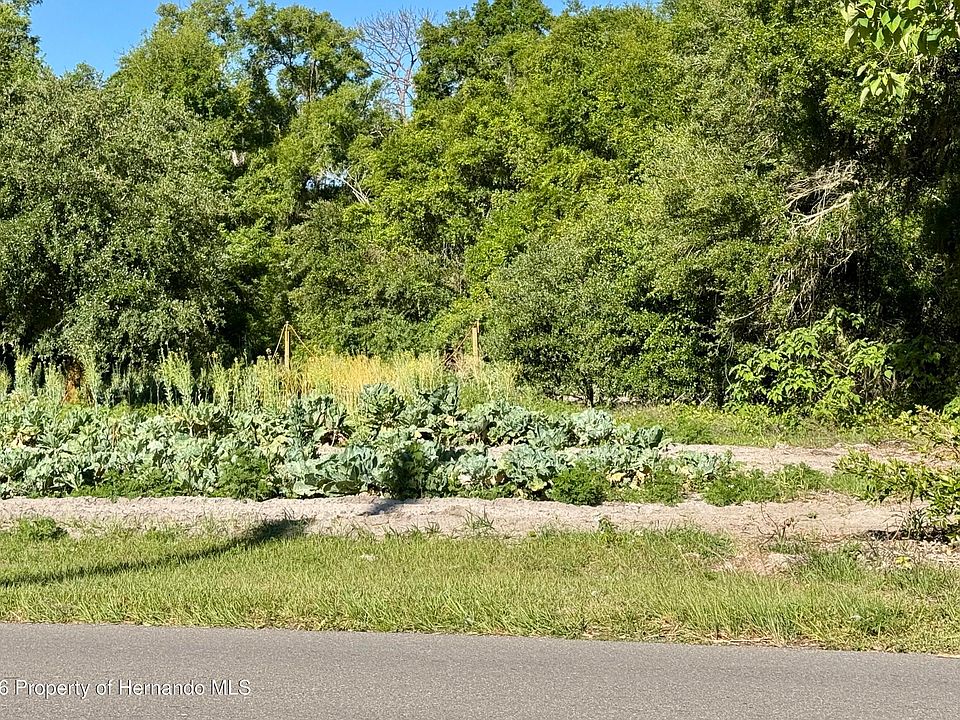 1st image of 0 County Road 213