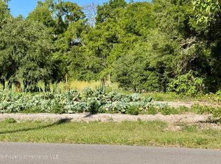 0 County Road 213, Wildwood, FL 34785