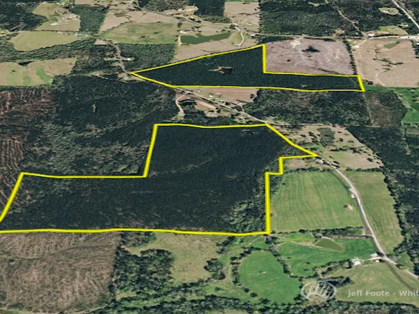 Williams Rd, Braxton, MS 39044